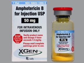 Ảnh của Amphotericin B