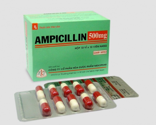 Ảnh của Ampicillin
