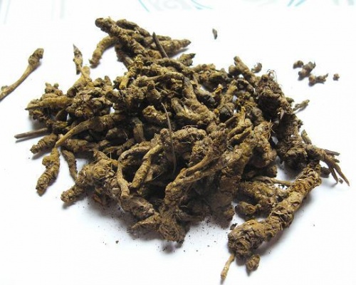 Ảnh của Hoàng liên