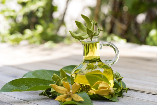 Ảnh của Tinh dầu ngọc lan tây
