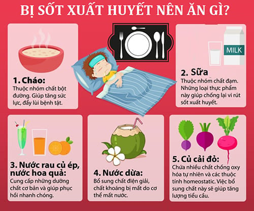 Người Bệnh Sốt Xuất Huyết Nên ăn Gì Và Kiêng ăn Gì Cho Nhanh Khỏe 9055