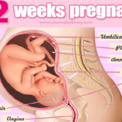 Nguyên nhân khiến thai 32 tuần không phát triển đúng chuẩn?
