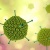 Virus Adenovirus gây bệnh gì?