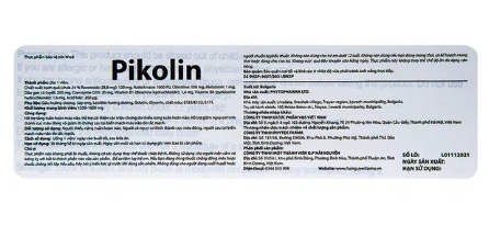 Pikolin Viên Uống Hỗ Trợ Tăng Tuần Hoàn Máu Não (Hộp 30 Viên) - Ảnh 2