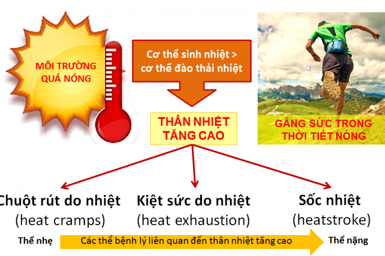 Kiệt sức do nhiệt - Ảnh minh họa 1