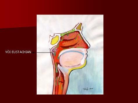 Mất chức năng vòi nhĩ - Ảnh minh họa 1