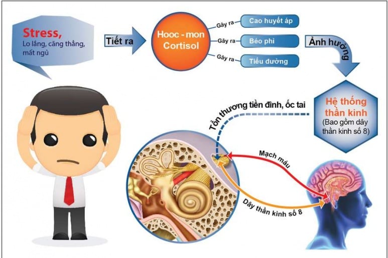 Autonomic Nervous System Disorders - Ảnh minh họa 3