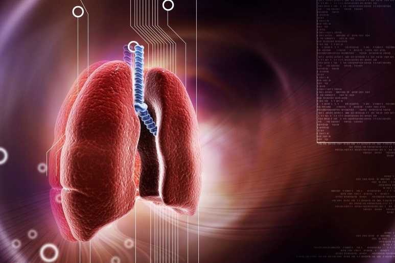 Acute bronchiolitis - Ảnh minh họa 1