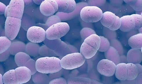 Nhiễm khuẩn Mycoplasma Genitalium - Ảnh minh họa 3