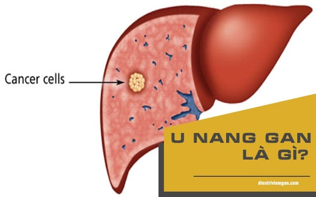 Nang gan - Ảnh minh họa 5