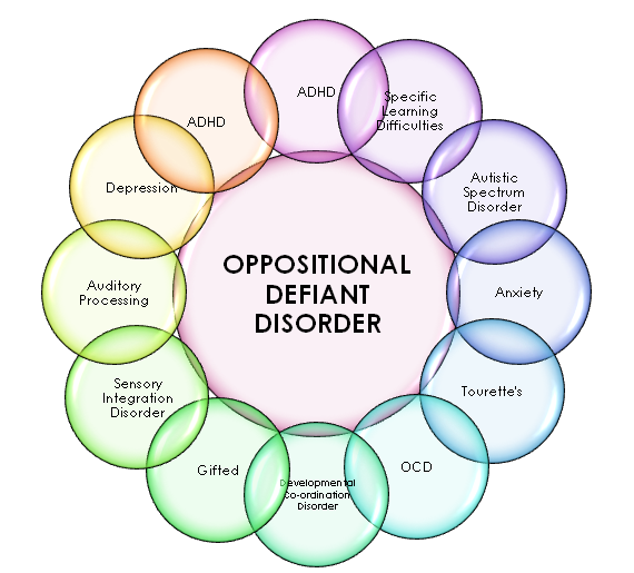 Oppositional defiant disorder - Ảnh minh họa 1