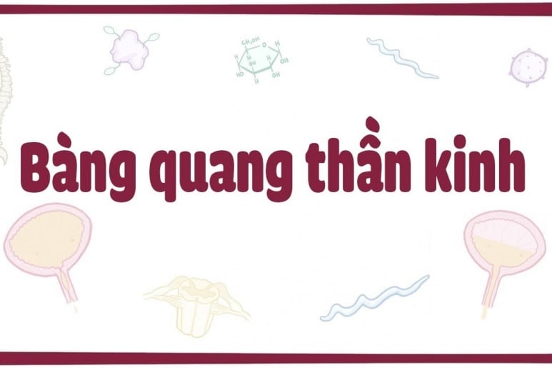 Bàng quang thần kinh - Ảnh minh họa 2