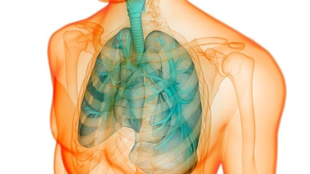 Bronchitis - Ảnh minh họa 1