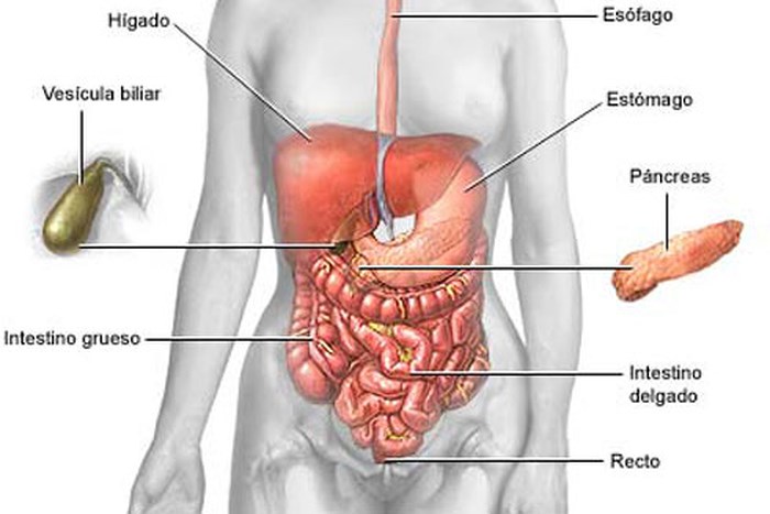 Pancreatic cancer - Ảnh minh họa 5