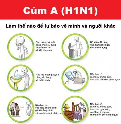 Cúm lợn H1N1 - Ảnh minh họa 2