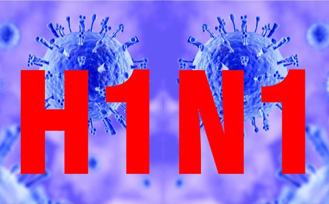 Cúm lợn H1N1 - Ảnh minh họa 3