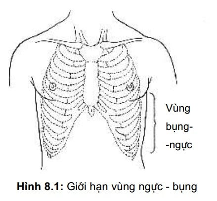 Chấn thương ngực - Ảnh minh họa 3