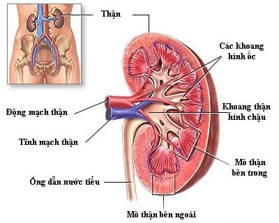 Suy thận mãn - Ảnh minh họa 3