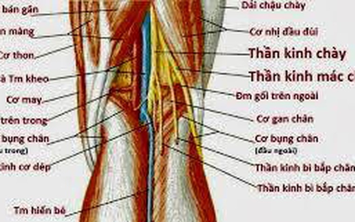 Tổn thương dây thần kinh do chấn thương - Ảnh minh họa 2