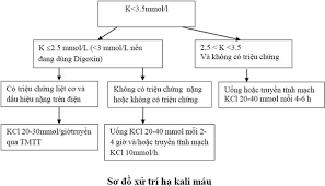 Chứng giảm kali huyết - Ảnh minh họa 3