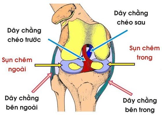 Chondromalacia - Ảnh minh họa 3