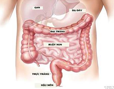 Ulcerative colitis - Ảnh minh họa 2