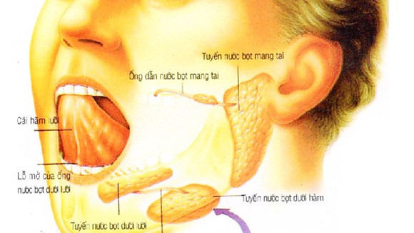 Ung thư tuyến nước bọt - Ảnh minh họa 1