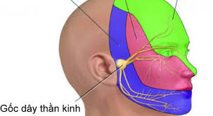 Đau dây thần kinh tam thoa - Ảnh minh họa 1