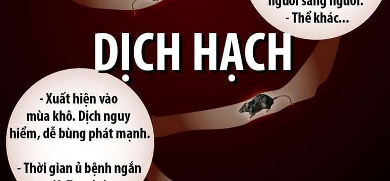 Dịch hạch - Ảnh minh họa 4