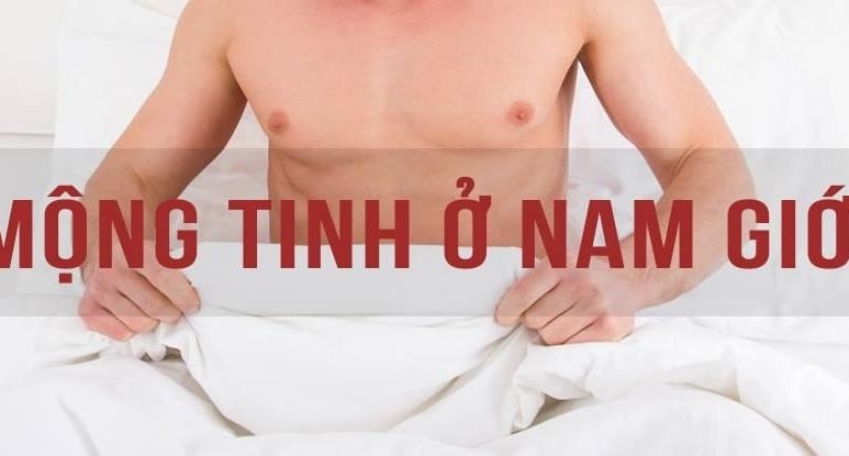 Di tinh, mộng tinh - Ảnh minh họa 4