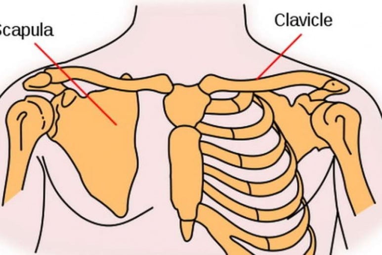 Fracture - Ảnh minh họa 3