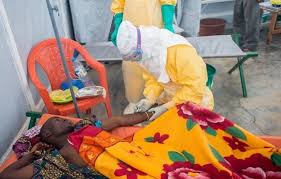 Ebola - Ảnh minh họa 4