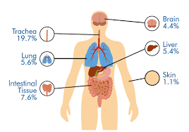 Giảm oxy máu - Ảnh minh họa 3