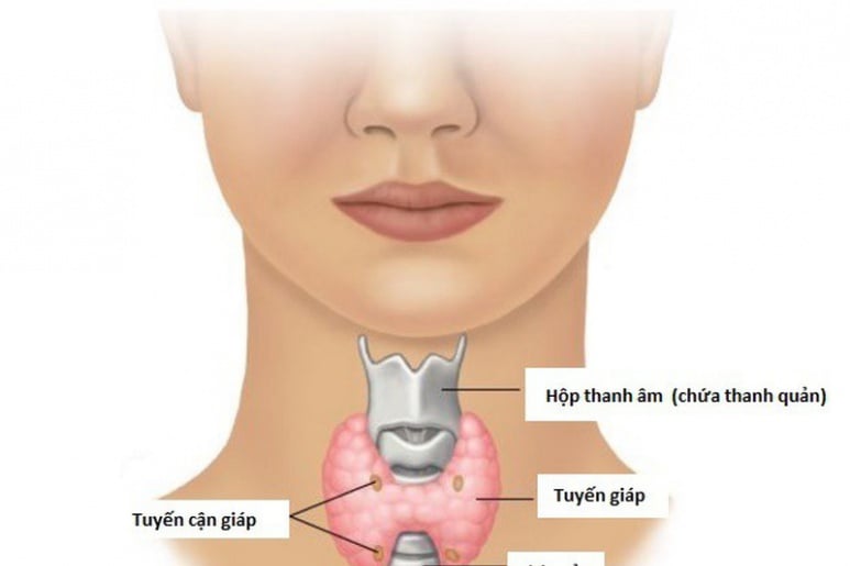 Ung thư tuyến giáp - Ảnh minh họa 2