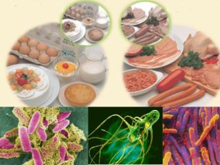 Ngộ độc do clostridium botulinum - Ảnh minh họa 3