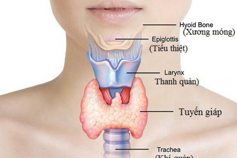 Rối loạn tuyến giáp - Ảnh minh họa 2