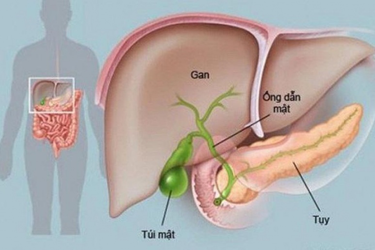 Viêm tụy cấp - Ảnh minh họa 3