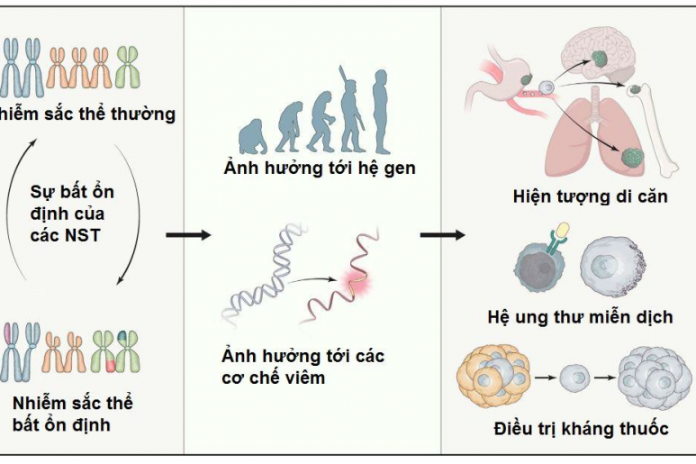 Xóa nhiễm sắc thể 10p - Ảnh minh họa 1