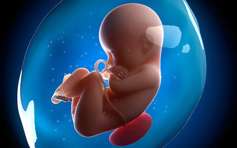 Lựa chọn thời điểm đếm cử động thai