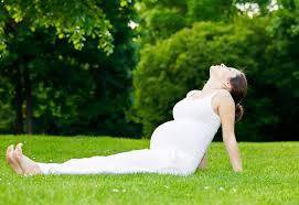 Bài tập yoga cho bà bầu