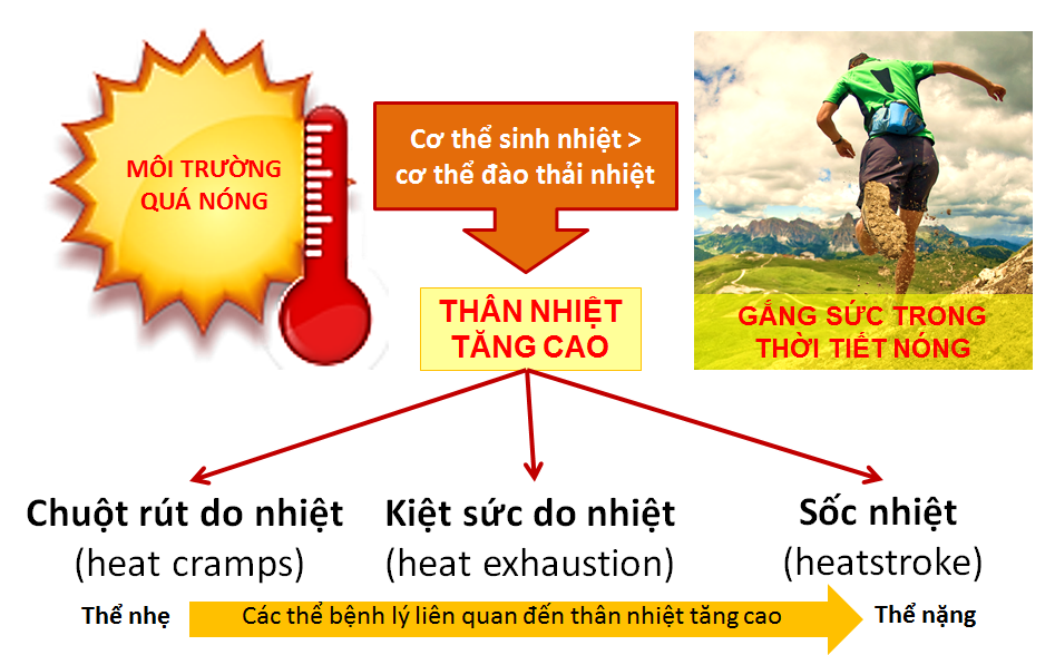 Kiệt sức do nhiệt - Hình ảnh minh họa