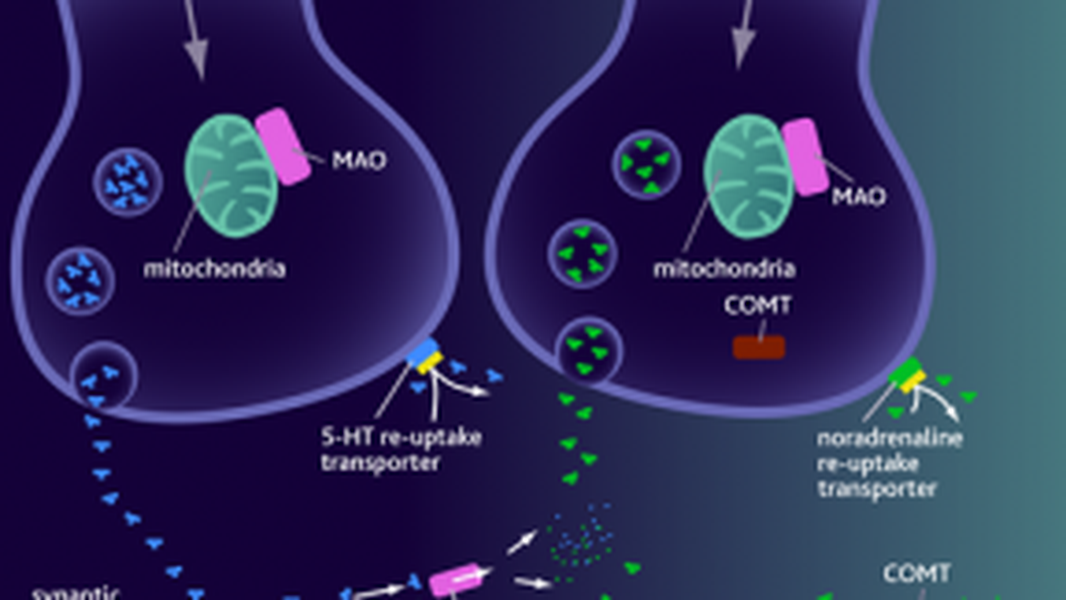 Amitriptyline - Hình ảnh minh họa