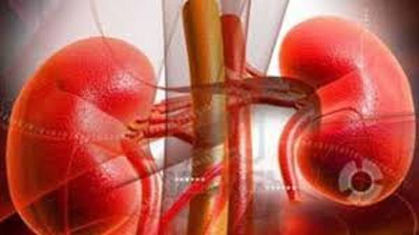 Mủ thận - Hình ảnh minh họa