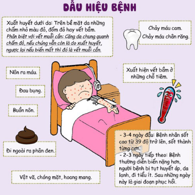 Muỗi anophen đốt - Hình ảnh minh họa