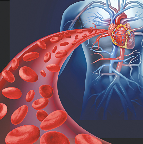 Ngất do mạch thần kinh phế vị - Hình ảnh minh họa