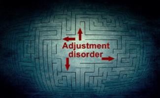 Adjustment disorder - Hình ảnh minh họa