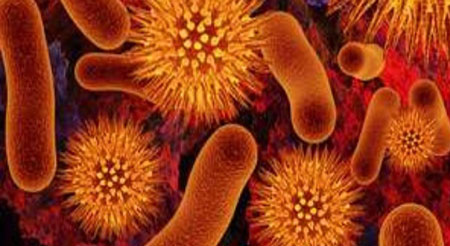 Nhiễm Ureaplasma Urealyticum - Hình ảnh minh họa