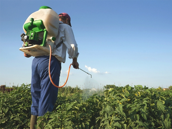 Ngộ độc thuốc trừ sâu (ngộ độc Organophosphate) - Hình ảnh minh họa