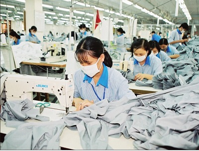 Bụi phổi bông - Hình ảnh minh họa