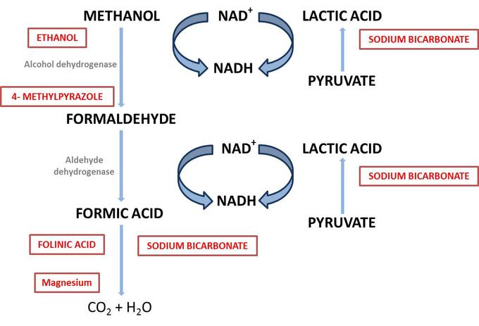 Ngộ độc Ethylene Glycol - Hình ảnh minh họa